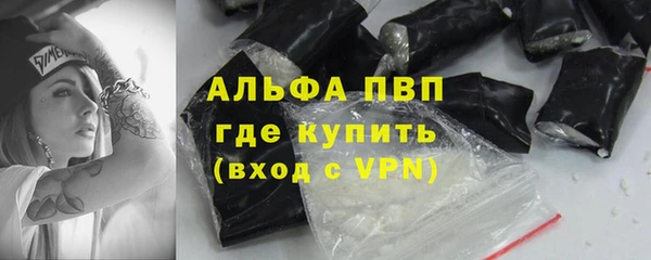 индика Балахна