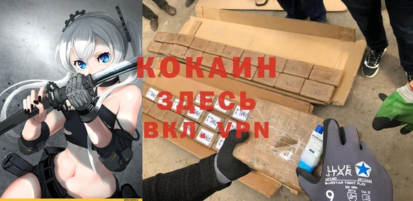 индика Балахна