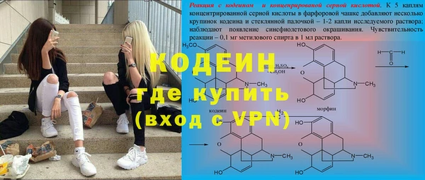 индика Балахна