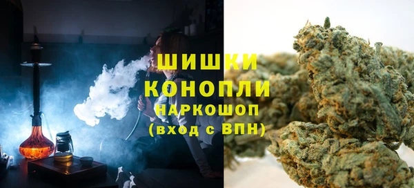индика Балахна