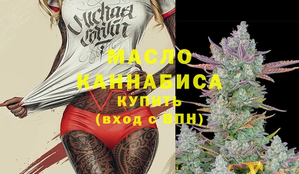 индика Балахна
