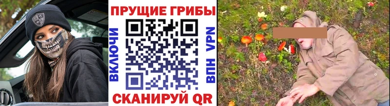 mega зеркало  это какой сайт  Псилоцибиновые грибы прущие грибы  Никольск 
